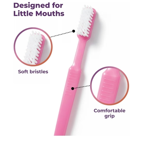 Prepasted Disposable Toothbrushes - Picture 3 of 5